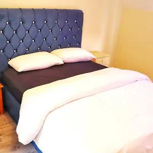 deluxe-dwelling-15-mins-from-city-airport.corkhotel.net/
